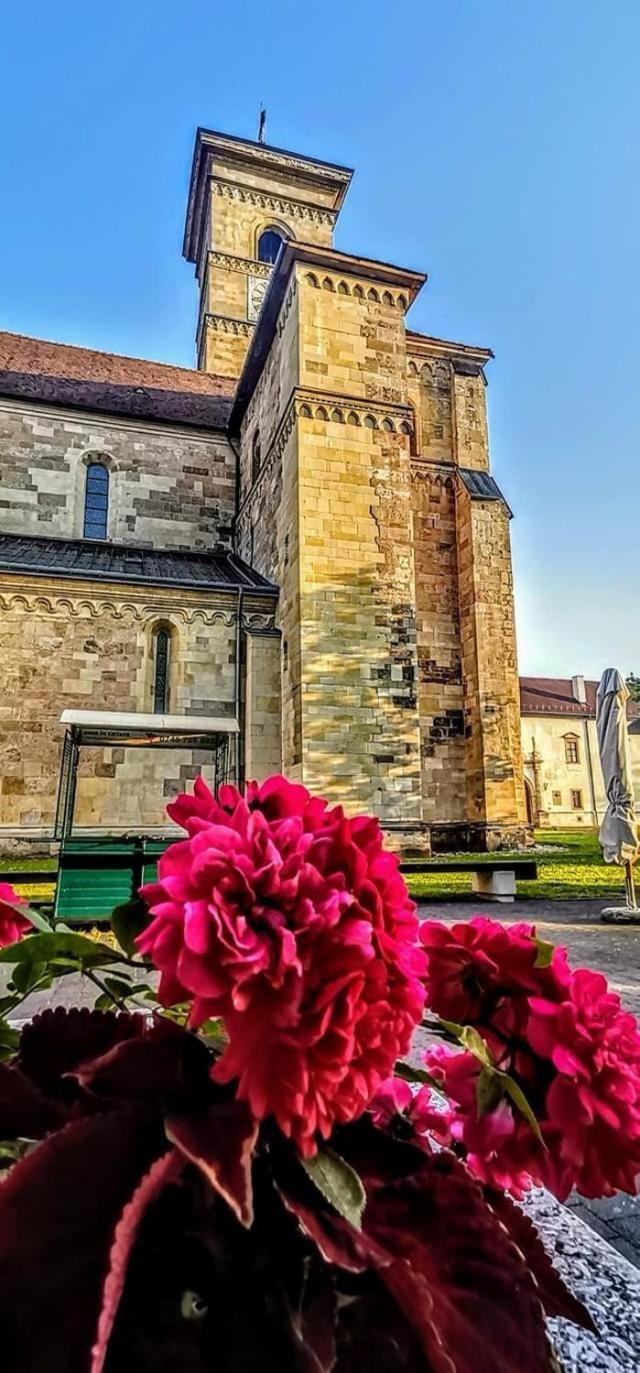 Apartament Cetate Alba Carolina Alba Iulia Esterno foto